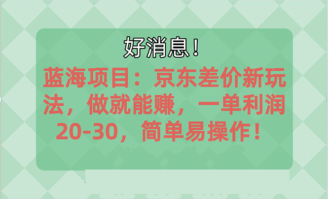 （10989期）越早知道越能赚到钱的蓝海项目：京东大平台操作，一单利润20-30，简单…-虫2小屋