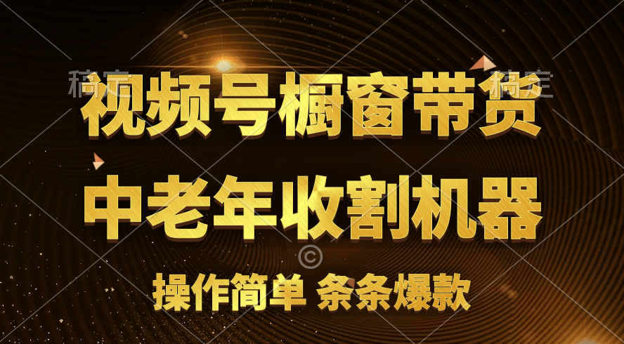 （11009期）[你的孩子成功取得高位]视频号最火爆赛道，橱窗带货，流量分成计划，条…-虫2小屋