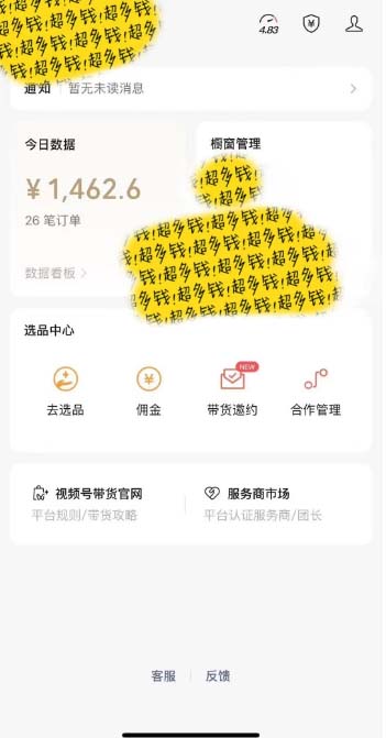 （11009期）[你的孩子成功取得高位]视频号最火爆赛道，橱窗带货，流量分成计划，条…