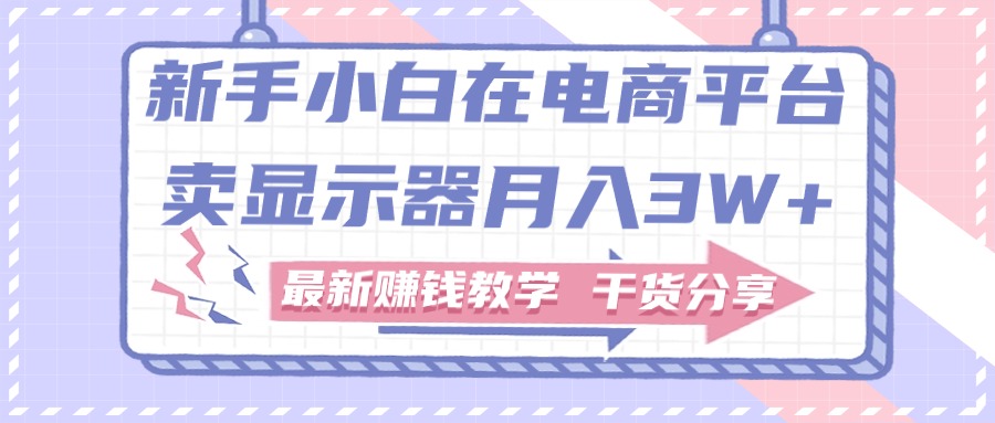 （11053期）新手小白如何做到在电商平台卖显示器月入3W+，最新赚钱教学干货分享-虫2小屋