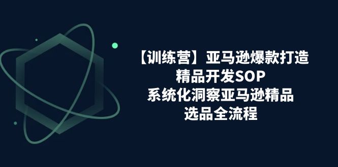（11210期）【训练营】亚马逊爆款打造之精品开发SOP，系统化洞察亚马逊精品选品全流程-虫2小屋