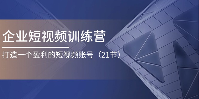 （11278期）企业短视频训练营：打造一个盈利的短视频账号（21节）-虫2小屋