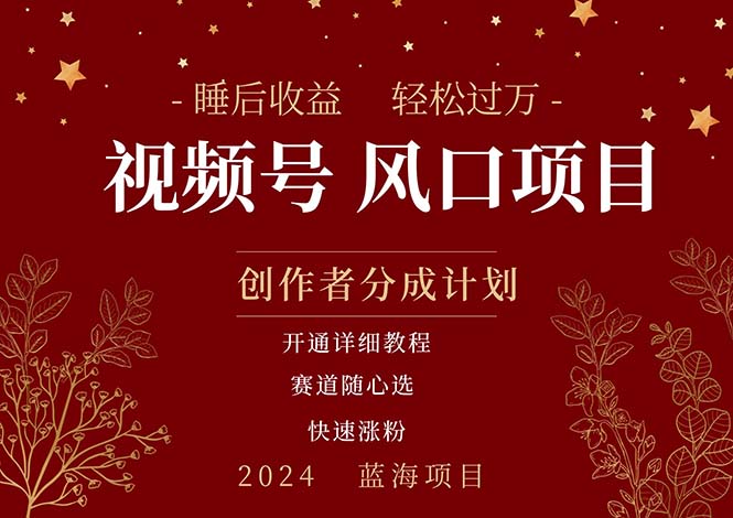 （11331期）拥有睡眠收益的微信视频号大风口项目，轻松月入过万+，多赛道选择，可…-虫2小屋