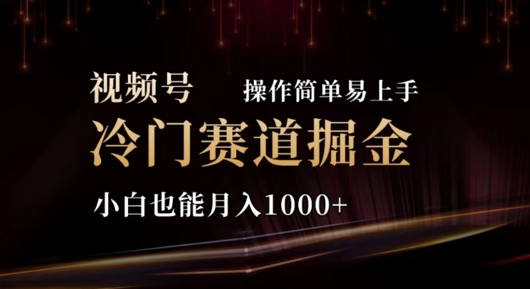 （11378期）2024视频号冷门赛道掘金，操作简单轻松上手，小白也能月入1000+-虫2小屋