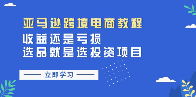 （11432期）亚马逊跨境电商教程：收益还是亏损！选品就是选投资项目-虫2小屋