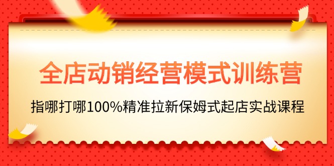 （11460期）全店动销-经营模式训练营，指哪打哪100%精准拉新保姆式起店实战课程-虫2小屋