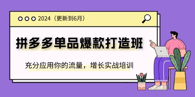 （11556期）2024拼多多-单品爆款打造班(更新6月)，充分应用你的流量，增长实战培训-虫2小屋