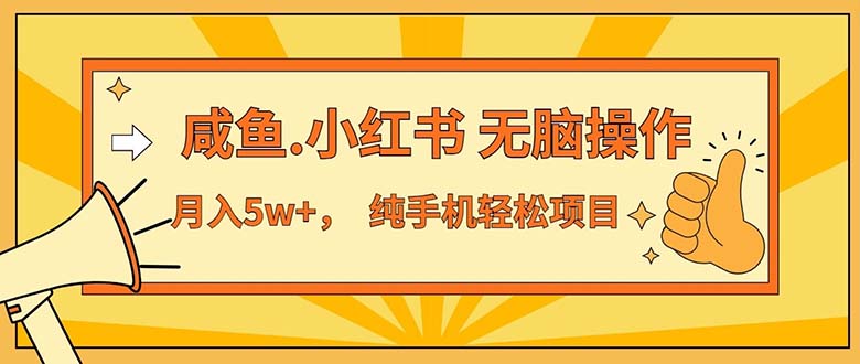 （11524期）2024最赚钱的项目，咸鱼，小红书无脑操作，每单利润500+，轻松月入5万+…-虫2小屋