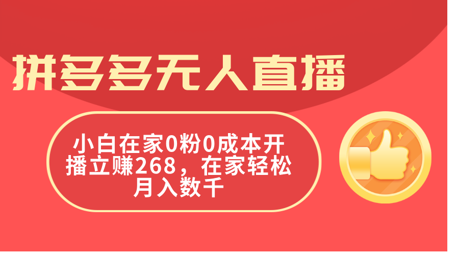 （11521期）拼多多无人直播，小白在家0粉0成本开播立赚268，在家轻松月入数千-虫2小屋
