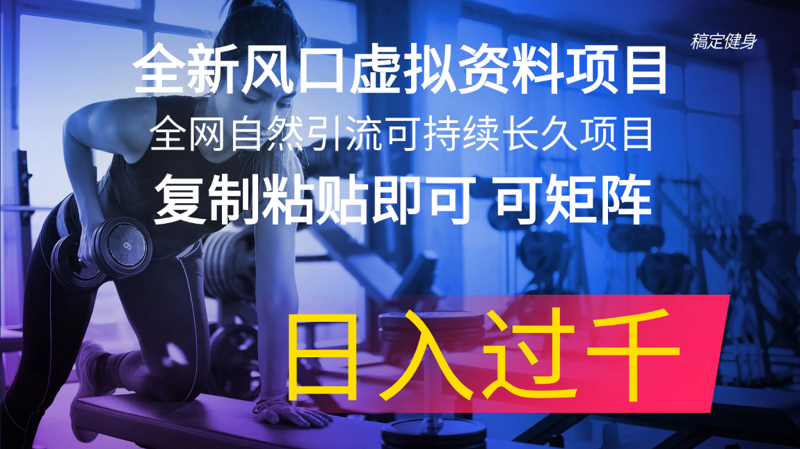 （11587期）全新风口虚拟资料项目 全网自然引流可持续长久项目 复制粘贴即可可矩阵…-虫2小屋