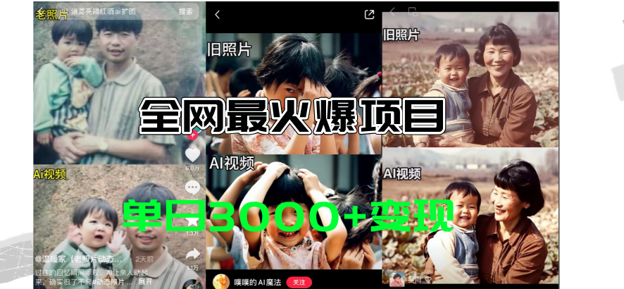 （11546期）全网爆火的AI让老照片动起来教程，蹭热点日赚3000+，内含免费工具一键…-虫2小屋