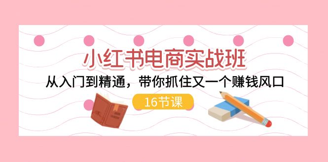 （11533期）小红书电商实战班，从入门到精通，带你抓住又一个赚钱风口（16节）-虫2小屋