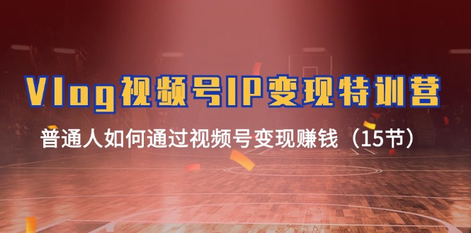 （11654期）Vlog 视频号IP变现特训营，普通人如何通过视频号变现赚钱（15节）-虫2小屋