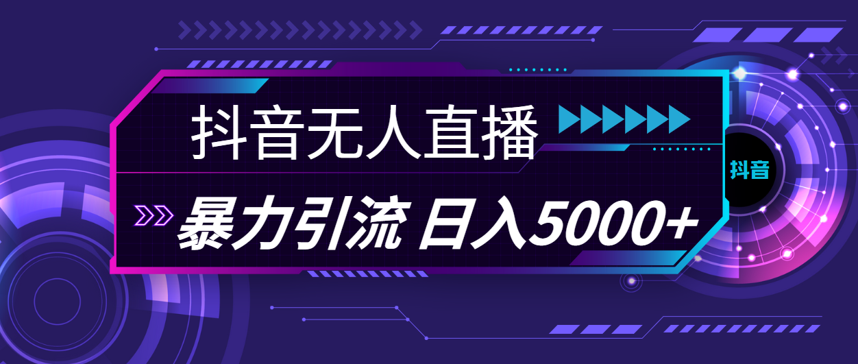 （11709期）抖音无人直播，暴利引流，日入5000+-虫2小屋