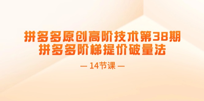 （11704期）拼多多原创高阶技术第38期，拼多多阶梯提价破量法（14节课）-虫2小屋