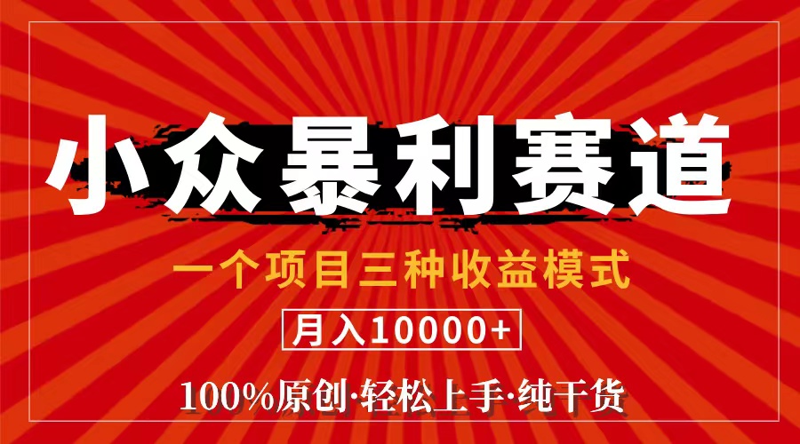 （11695期）视频号【中老年粉深信不疑】小众赛道 100%原创 手把手教学 新号3天收益…-虫2小屋