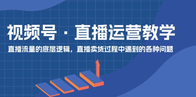 （11687期）视频号 直播运营教学：直播流量的底层逻辑，直播卖货过程中遇到的各种问题-虫2小屋