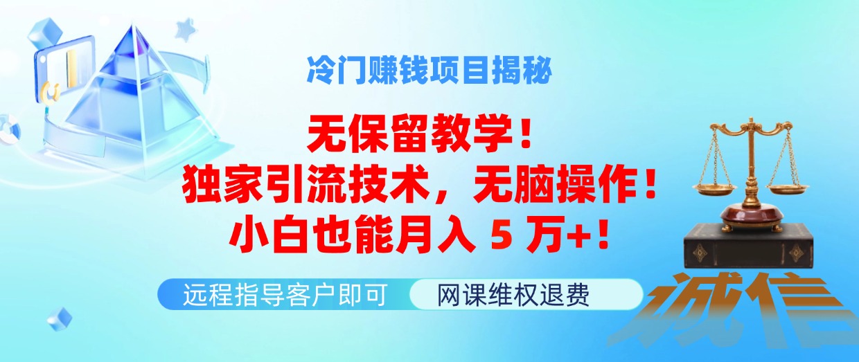 （11864期）冷门赚钱项目无保留教学！独家引流技术，无脑操作！小白也能月入5万+！-虫2小屋