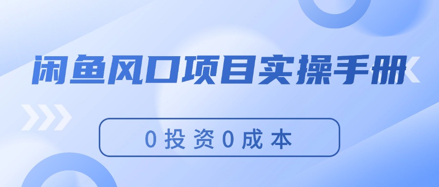（11923期）闲鱼风口项目实操手册，0投资0成本，让你做到，月入过万，新手可做-虫2小屋