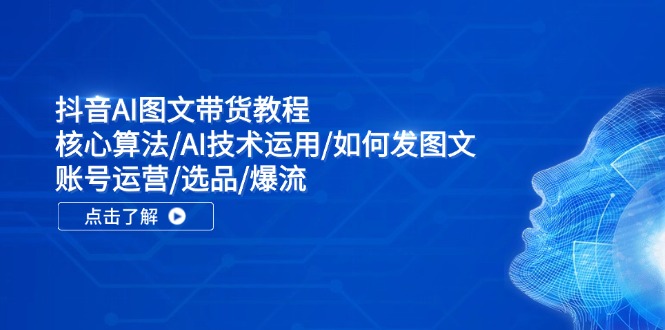 （11958期）抖音AI图文带货教程：核心算法/AI技术运用/如何发图文/账号运营/选品/爆流-虫2小屋