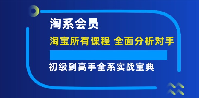 （12055期）淘系会员【淘宝所有课程，全面分析对手】，初级到高手全系实战宝典-虫2小屋