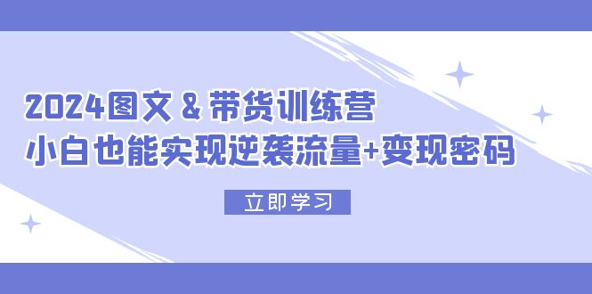 （12137期）2024 图文+带货训练营，小白也能实现逆袭流量+变现密码-虫2小屋