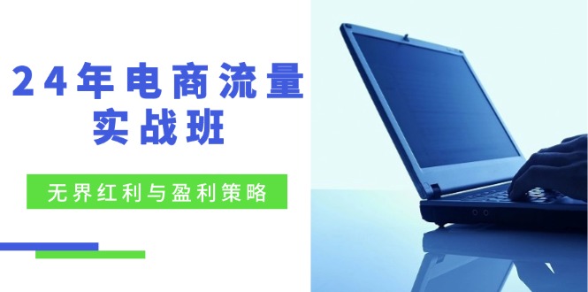 （12168期）24年电商流量实战班：无界 红利与盈利策略，终极提升/关键词优化/精准…-虫2小屋