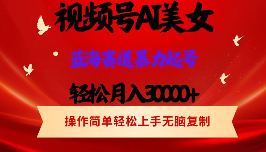 （12178期）视频号AI美女跳舞，轻松月入30000+，蓝海赛道，流量池巨大，起号猛，当…-虫2小屋