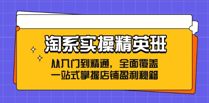 （12276期）淘系实操精英班：从入门到精通，全面覆盖，一站式掌握店铺盈利秘籍-虫2小屋