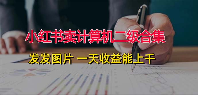 （12228期）小红书卖计算机二级合集，发发图片 一天收益能上千-虫2小屋
