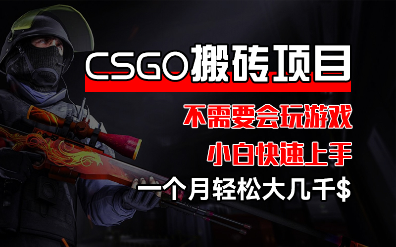 （12332期）CSGO 装备搬砖项目，操作简单，不需要会玩游戏，小白也能快速上手，一…-虫2小屋