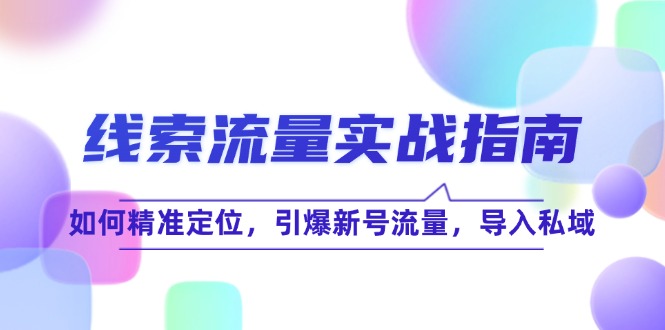（12382期）线 索 流 量-实战指南：如何精准定位，引爆新号流量，导入私域-虫2小屋