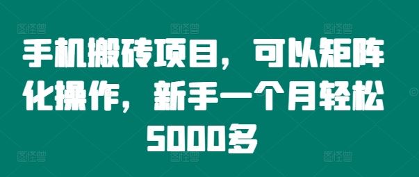 手机搬砖项目，可以矩阵化操作，新手一个月轻松5000多-虫2小屋