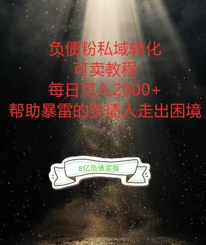 负债粉掘金计划，帮助负债者解决问题，债务规划，债务重组，最好的变现方式【揭秘】-虫2小屋