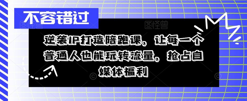 逆袭IP打造陪跑课，让每一个普通人也能玩转流量，抢占自媒体福利-虫2小屋