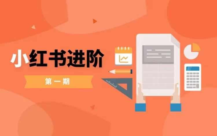小红书进阶篇，零基础小白实战课，普通人变现的课程-虫2小屋