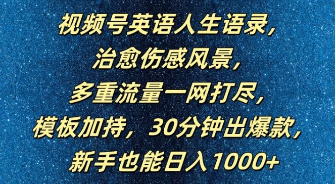 视频号英语人生语录，多重流量一网打尽，模板加持，30分钟出爆款，新手也能日入1000+【揭秘】-虫2小屋