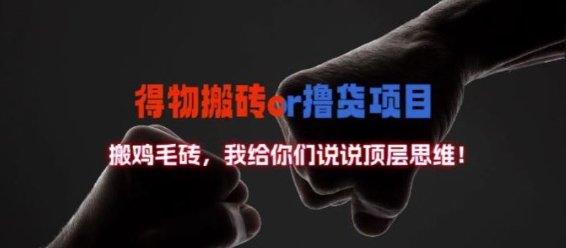 得物搬砖撸货项目?掰下数据，我给你们说说顶层思维【揭秘】-虫2小屋
