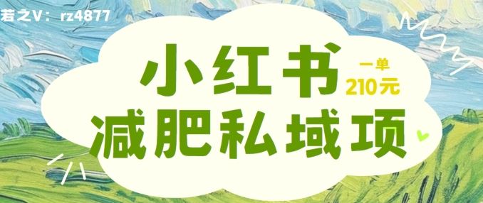 小红书减肥粉，私域变现项目，一单就达210元，小白也能轻松上手【揭秘】-虫2小屋