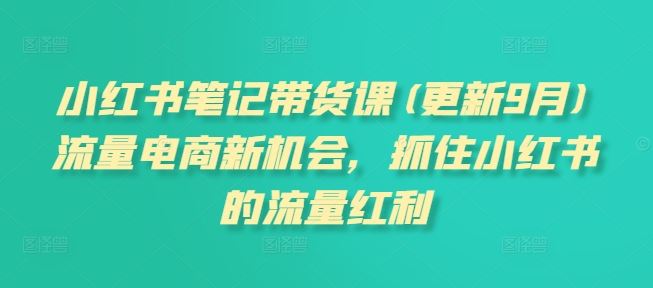 小红书笔记带货课(更新9月)流量电商新机会，抓住小红书的流量红利-虫2站点