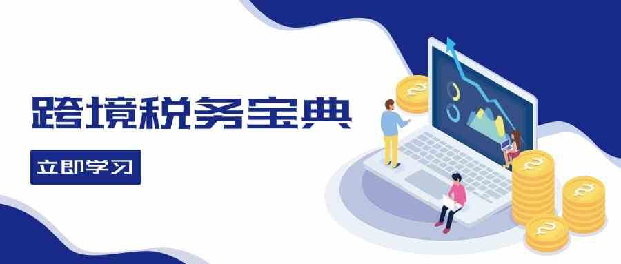 跨境税务宝典教程：跨境电商全球税务处理策略-虫2小屋