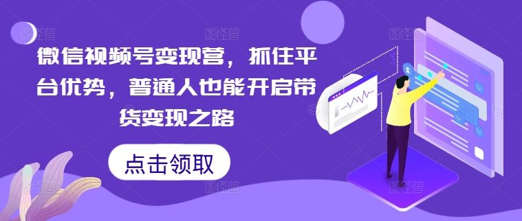微信视频号变现营，抓住平台优势，普通人也能开启带货变现之路-虫2小屋