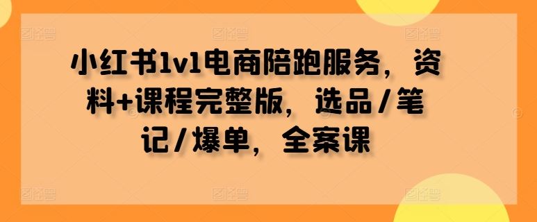 小红书1v1电商陪跑服务，资料+课程完整版，选品/笔记/爆单，全案课-虫2小屋