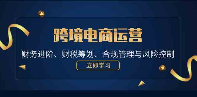 跨境电商运营：财务进阶、财税筹划、合规管理与风险控制-虫2小屋