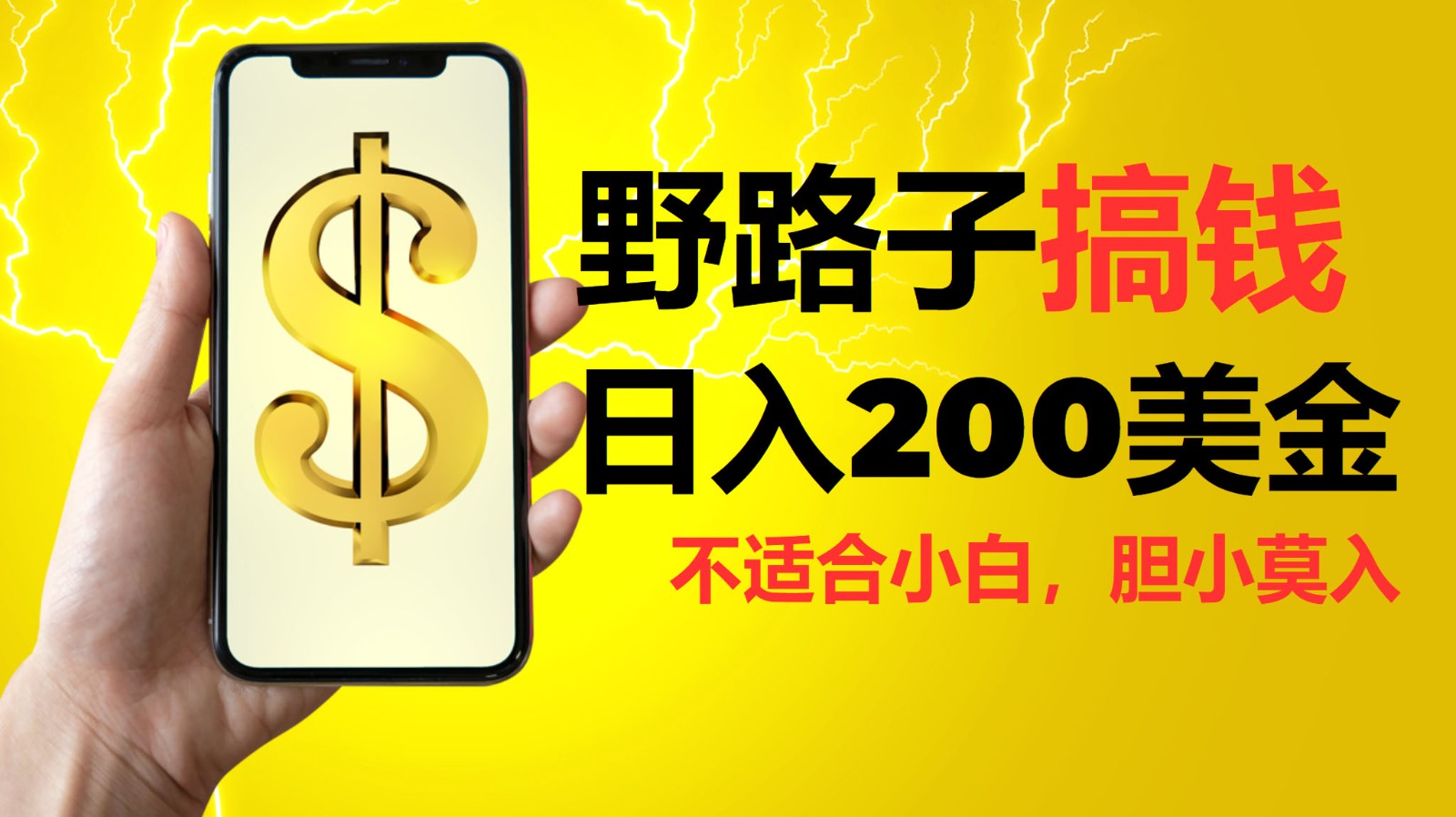挂机野路子搞钱，日入200美金，路子很野，小白莫入-虫2小屋