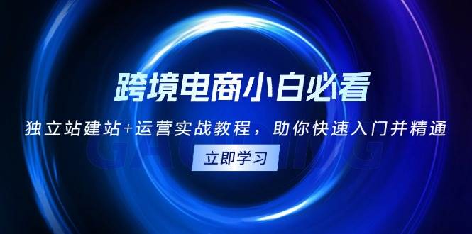 （13503期）跨境电商小白必看！独立站建站+运营实战教程，助你快速入门并精通-虫2小屋