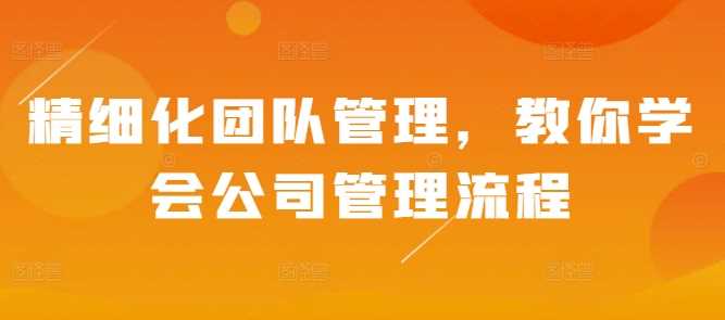 精细化团队管理，教你学会公司管理流程-虫2小屋