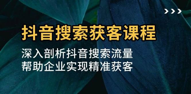 抖音搜索获客课程：深入剖析抖音搜索流量，帮助企业实现精准获客-虫2小屋
