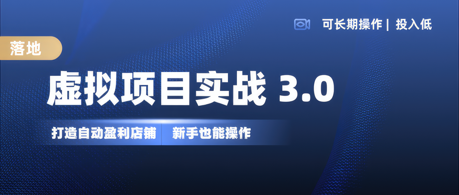 虚拟项目实操落地 3.0,新手轻松上手，单品月入1W+-虫2小屋