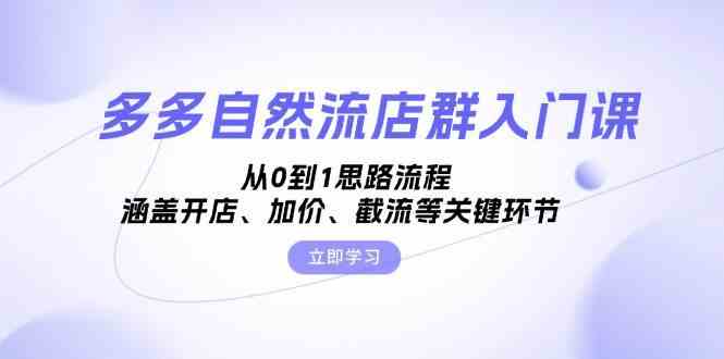多多自然流店群入门课，从0到1思路流程，涵盖开店、加价、截流等关键环节-虫2小屋